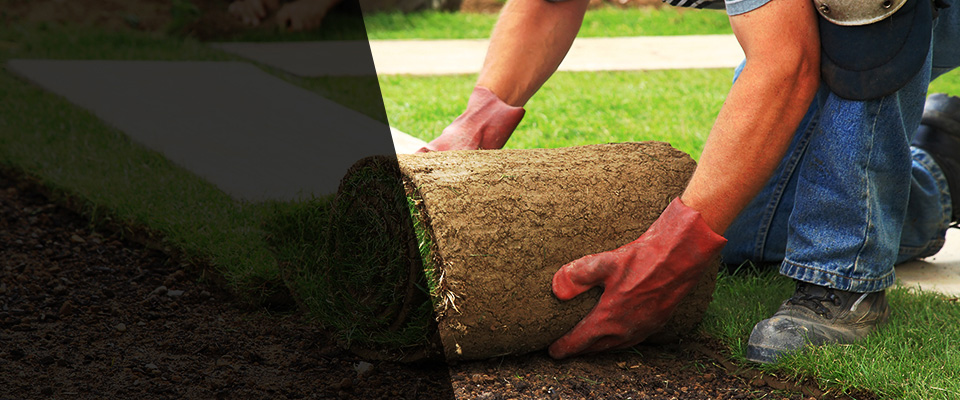Lambertville Landscapers